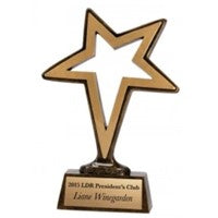 6" Pinnacle Star Resin Victory
