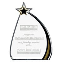 8.75" Shooting Star Acrylic Award