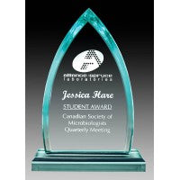 8.75" Acrylic Jade Peak